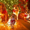 Dogs At Christmas paint by number