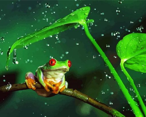 Frog On Branch In The Rain Paint by number