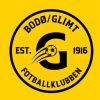 Glimt Logo paint by number