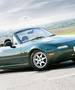 Green Mx5 Mk1 paint by number