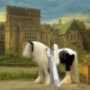 Gypsy Vanner And Princess paint by number