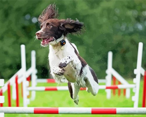 Jumping Dog Agility paint by number