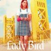 Lady Bird Movie Poster paint by number