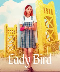 Lady Bird Movie Poster paint by number