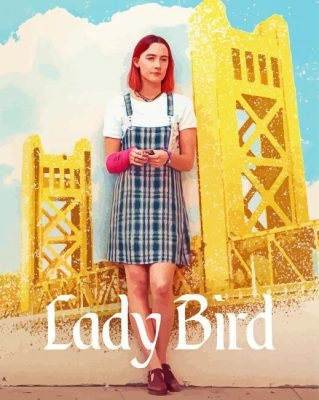 Lady Bird Movie Poster paint by number