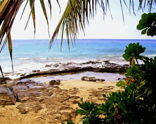 Magic Sands Beach Park In Hawaii paint by number