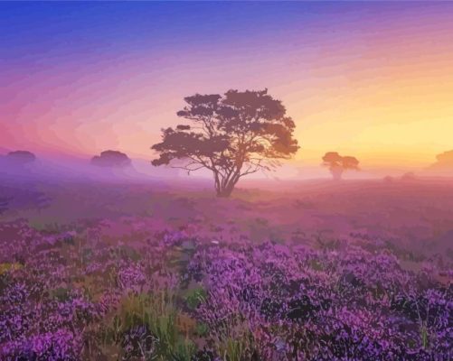 Misty Sunrise Flowers Field paint by number