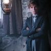 Newt Scamander Harry Potter paint by number