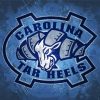 North Carolina Tar Heels Logo paint by number