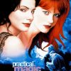 Practical Magic Movie paint by number