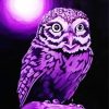 Purple Owl Illustration paint by number