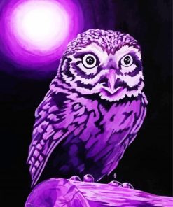 Purple Owl Illustration paint by number