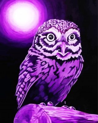 Purple Owl Illustration paint by number