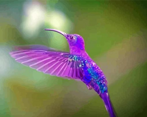Purple Hummingbird paint by number