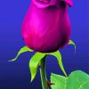 Purple Rose Illustration paint by number