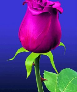 Purple Rose Illustration paint by number