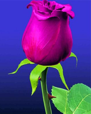 Purple Rose Illustration paint by number