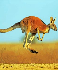 Red kangaroo Jump paint by number