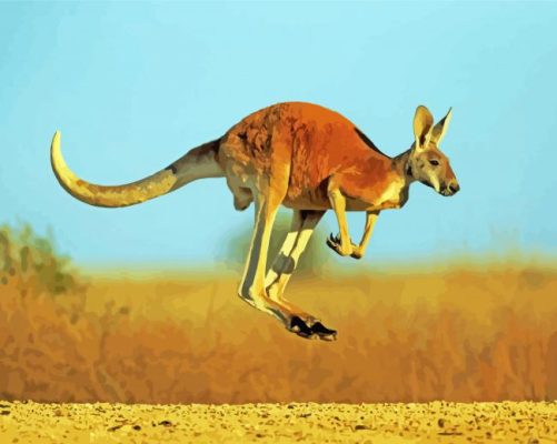 Red kangaroo Jump paint by number