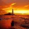 Sunset At St Marys Lighthouse Whitley Bay paint by number
