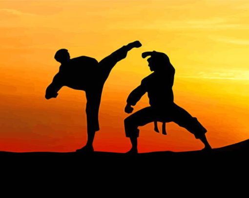 Taekwondo Silhouette Art paint by number