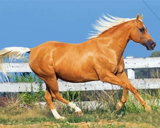 Tan Horse Animal paint by number