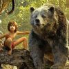 The Jungle Book Characters paint by number