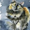 Tortoise Shell Cat Art paint by number