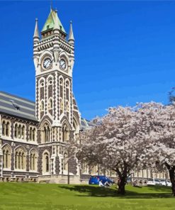 University Of Otago In New Zealand paint by number