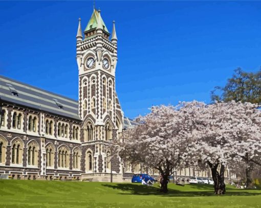 University Of Otago In New Zealand paint by number