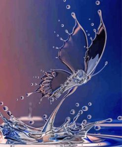 Water Butterfly paint by number