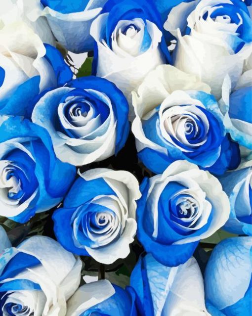 White Blue Roses paint by number