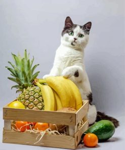 White Cat And Fruits paint by number