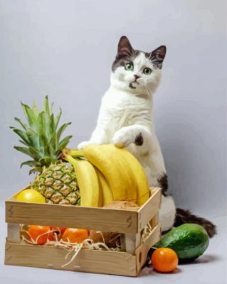 White Cat And Fruits paint by number