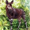 Wild Okapi Animal paint by number
