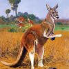 Wild Red kangaroo paint by number