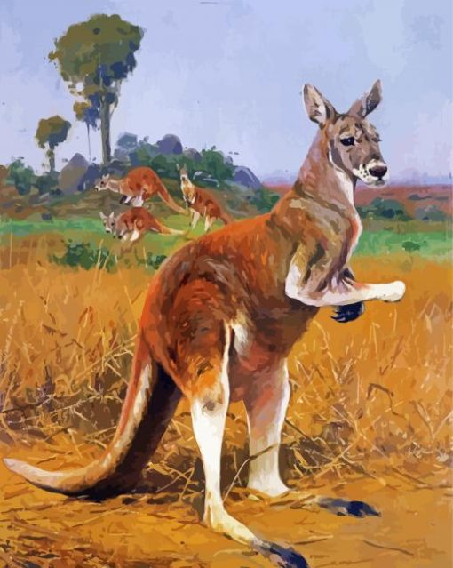 Wild Red kangaroo paint by number
