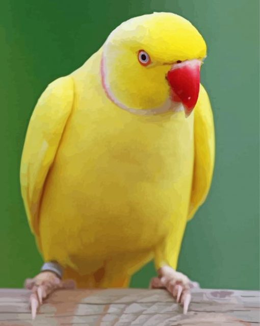 Yellow Ringneck Bird Paint by number