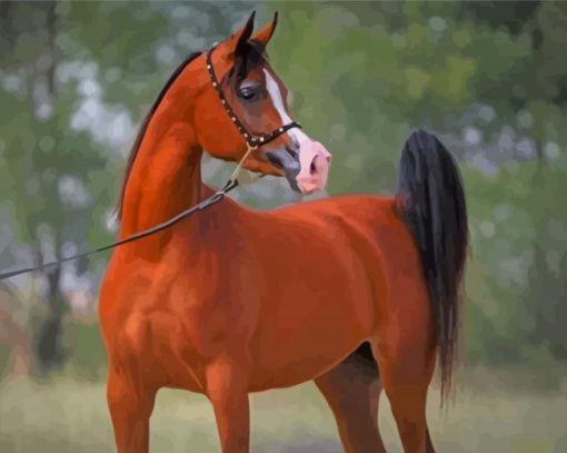 Aesthetic Arabian Horse paint by number