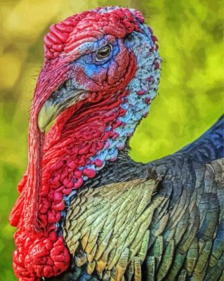 Aesthetic Bird Turkey paint by number