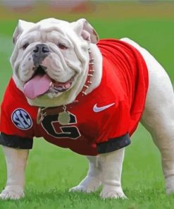 Aesthetic Georgia Bulldog paint by number