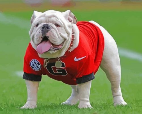 Aesthetic Georgia Bulldog paint by number