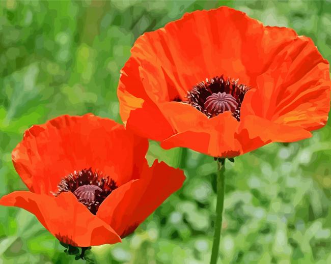 Aesthetic Orange Poppy paint by number