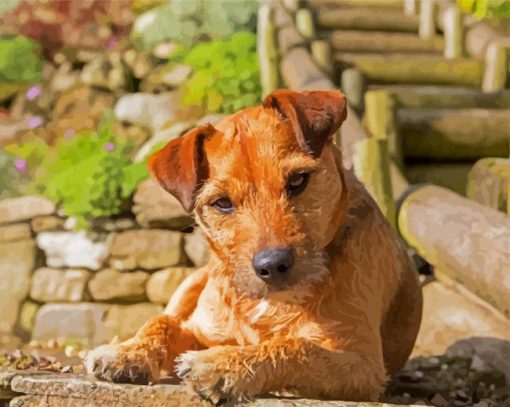 Aesthetic Patterdale paint by number