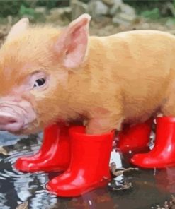 Aesthetic Pig Wearing Boots paint by number