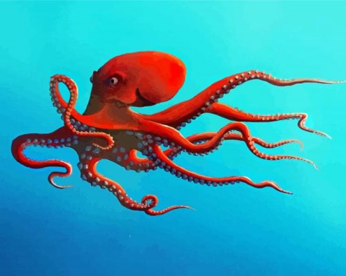 Aesthetic Red Octopus paint by number