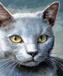 Aesthetic Grey White Cat paint by number