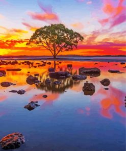 Australian Landscape Reflection Sunset paint by number