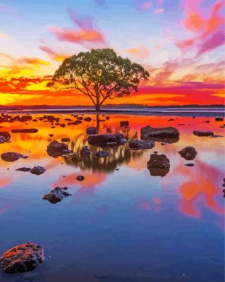 Australian Landscape Reflection Sunset paint by number