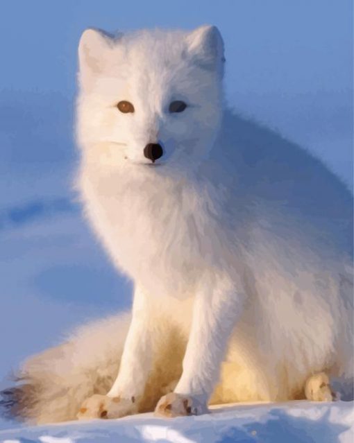 Baby Arctic Fox paint by number